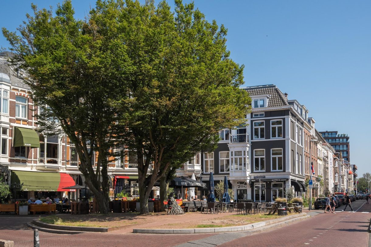 Te koop: Foto Appartement aan de Anna Paulownastraat 81A in 's-Gravenhage