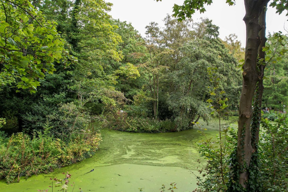 Te koop: Foto Appartement aan de Oostduinplein 233 in 's-Gravenhage