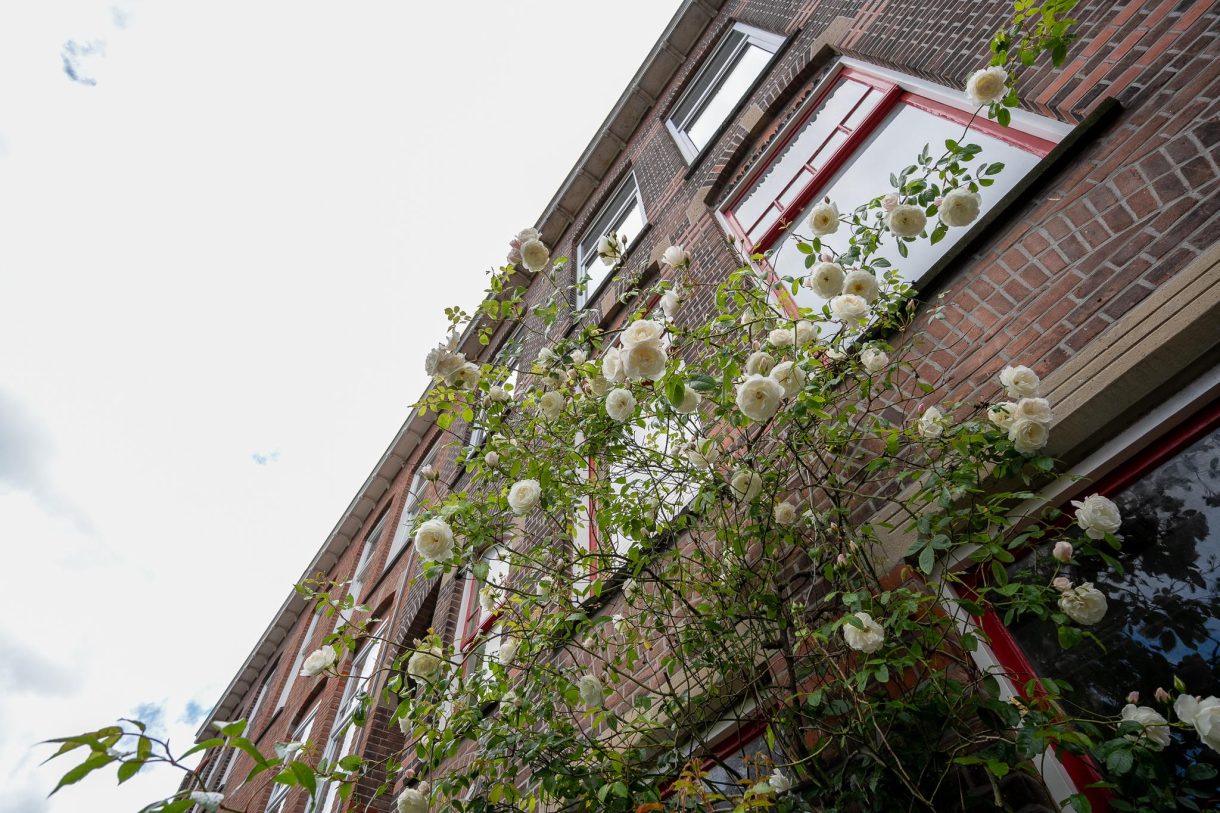 Te koop: Foto Appartement aan de Voltastraat 18 in 's-Gravenhage