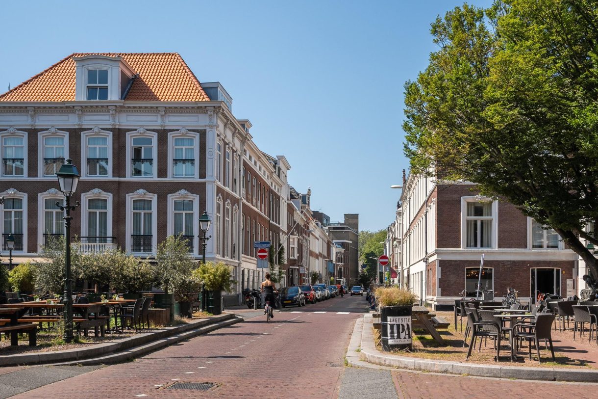 Te koop: Foto Appartement aan de Anna Paulownastraat 81B in 's-Gravenhage