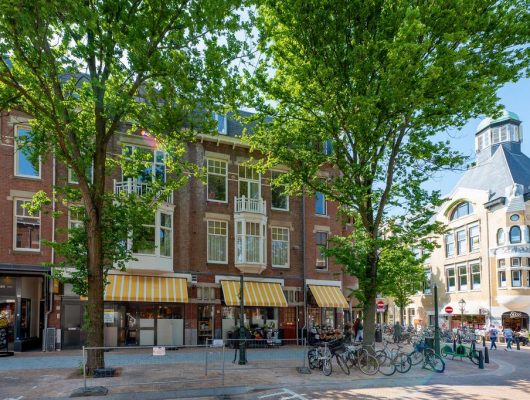 Hoofdfoto van 's-Gravenhage Frederik Hendriklaan 89