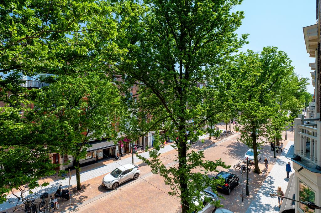 Te huur: Foto Appartement aan de Frederik Hendriklaan 89 in 's-Gravenhage