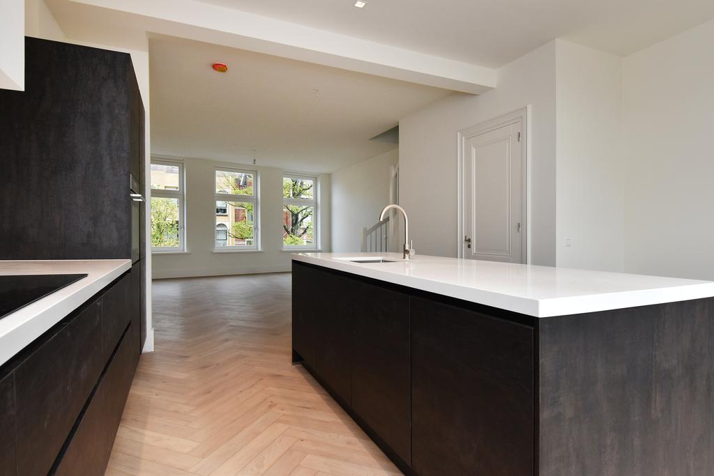 Te huur: Foto Appartement aan de Frederik Hendriklaan 144B in 's-Gravenhage