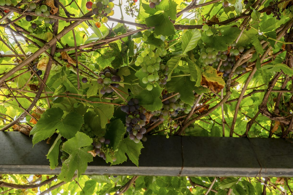 Te koop: Foto Appartement aan de Van Loostraat 128 in 's-Gravenhage