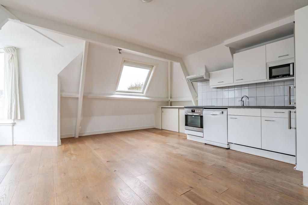 Te koop: Foto Appartement aan de Frederik Hendriklaan 162B in 's-Gravenhage