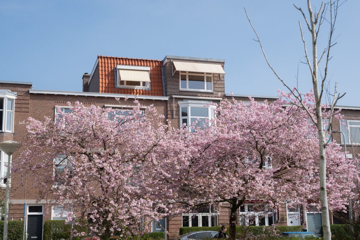 Te koop: Foto Appartement aan de Kastanjestraat 17 in 's-Gravenhage