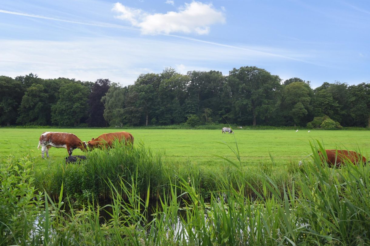 Te koop: Foto Woonhuis aan de Hofzichtlaan 14 in 's-Gravenhage