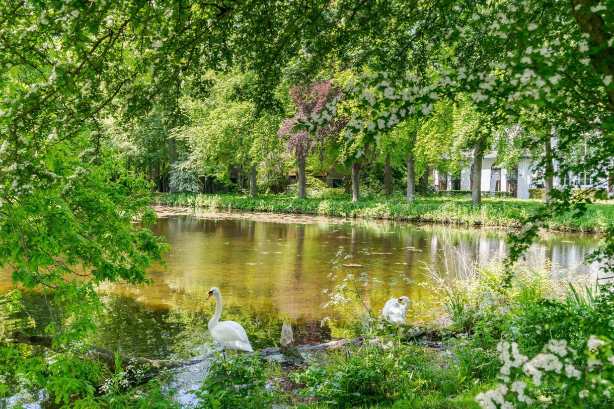 Te koop: Foto Woonhuis aan de Hofzichtlaan 14 in 's-Gravenhage