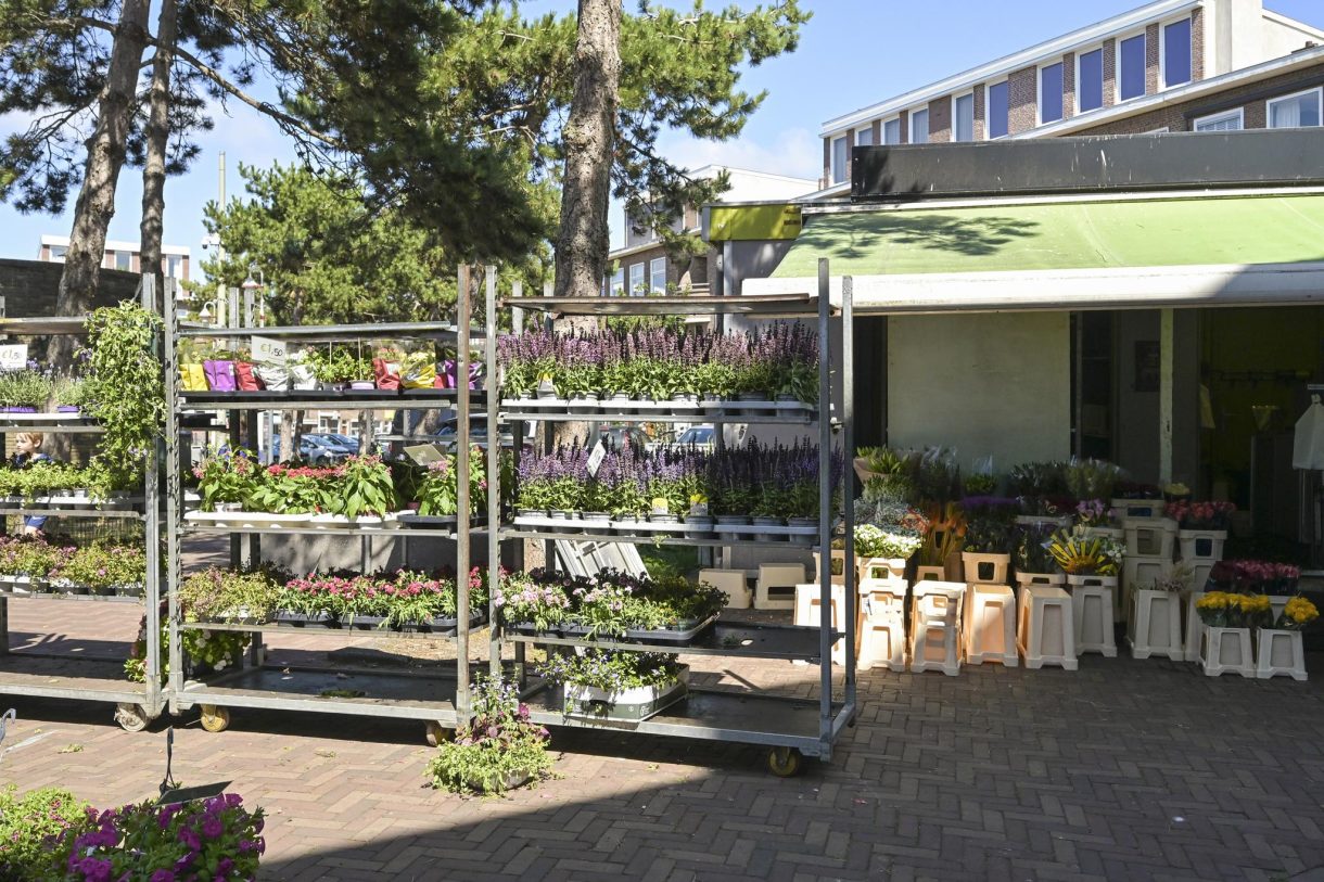 Te koop: Foto Appartement aan de Pluvierstraat 457 in 's-Gravenhage