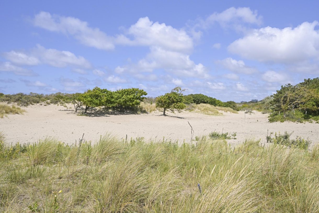 Te koop: Foto Appartement aan de Pluvierstraat 457 in 's-Gravenhage
