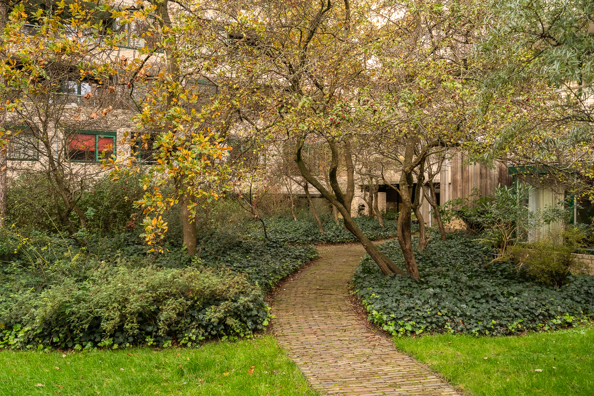 Hoofdfoto van 's-Gravenhage Burgemeester Patijnlaan 346