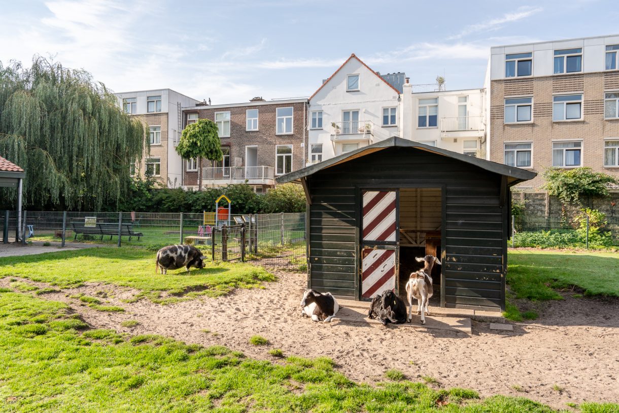 Te koop: Foto Appartement aan de Westerbaenstraat 236 in 's-Gravenhage