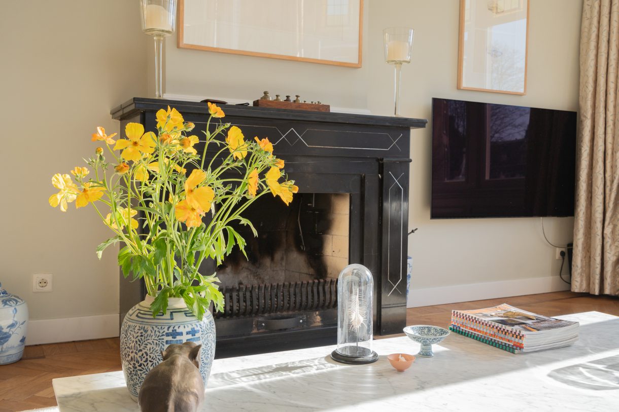 Te koop: Foto Appartement aan de Groot Hertoginnelaan 276 in 's-Gravenhage